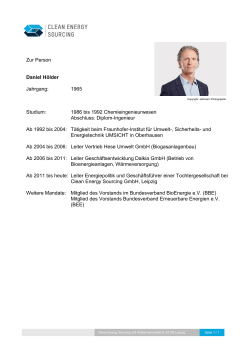 CV Daniel Hölder - Clean Energy Sourcing
