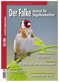 Herbst 2015 Vogeljagd am Mittelmeer &bdquo;Silberner Uhu&ldquo; Stieglitz