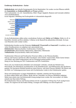 Zucker - G Leibnitz