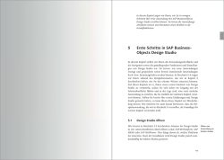 SAP BusinessObjects Design Studio – Das Praxishandbuch