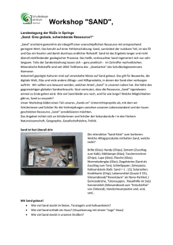 Workshop "SAND",