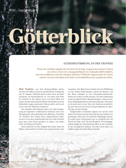 Altersbestimmung an der Bocktrophäe