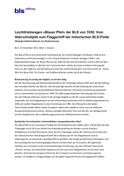 Hintergrundinformationen zur Restaurierung &laquo;Blauer