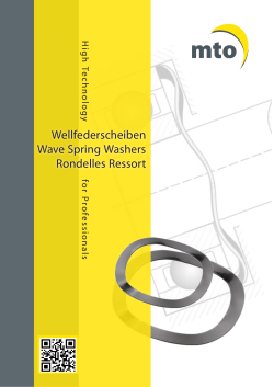 Wellfederscheiben Wave Spring Washers