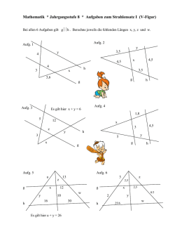 V-Figur - Raschweb.de