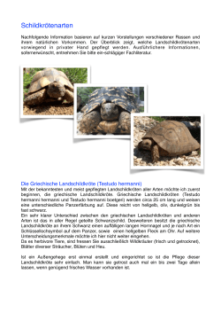 Landschildkröten Arten 2015.pages
