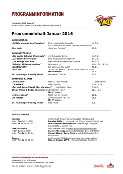 Schmidt Programm Jan 2016
