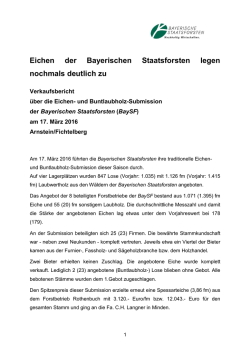 Eichen der Bayerischen Staatsforsten legen nochmals deutlich zu