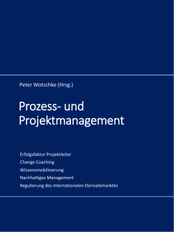Einblick Prozess-und Projektmanagement