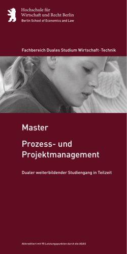 Prozess- und Projektmanagement Master