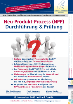 Durchführung & Prüfung Neu-Produkt-Prozess (NPP)