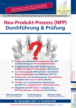 Durchf&uuml;hrung & Pr&uuml;fung Neu-Produkt-Prozess (NPP)