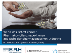 Hinweise zur Nutzung des Templates