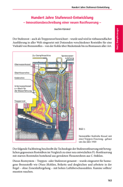 Hundert Jahre Stufenrost-Entwicklung
