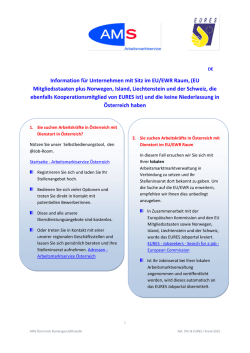 Information f&uuml;r Unternehmen mit Sitz im EU/EWR Raum,(EU
