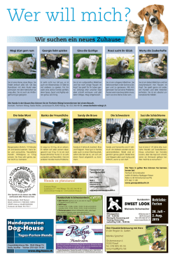 Dog-House