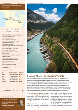 Goldener Ahorn &ndash; Die klassische Variante