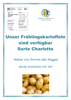 Unser Frühlingskartoffeln sind verfügbar Sorte Charlotte