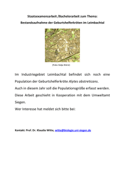 Im Industriegebiet Leimbachtal befindet sich noch eine Population