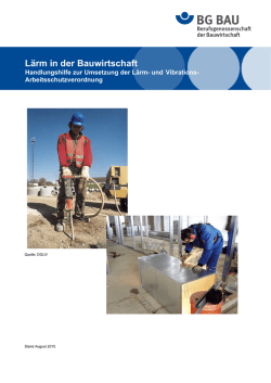 Handlungshilfe L&auml;rm