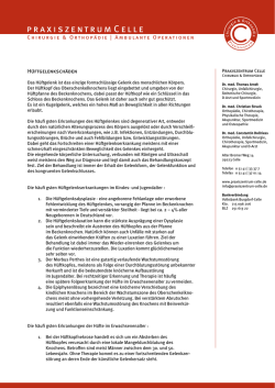 Hueftgelenksschaeden