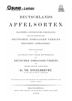 Gravensteiner