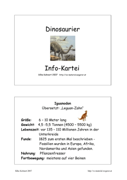 Dino - Kartei