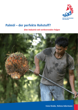 Palmöl – der perfekte Rohstoff? - SÜDWIND