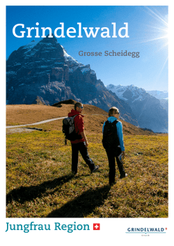 Die Grosse Scheidegg