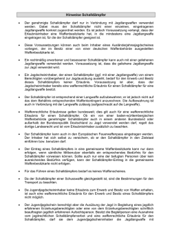 Hinweisblatt Schalld&auml;mpfer