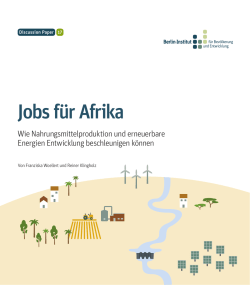 Jobs f&uuml;r Afrika - Berlin-Institut f&uuml;r Bev&ouml;lkerung und Entwicklung