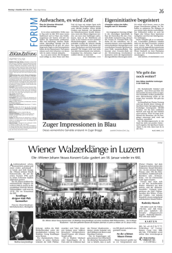 Eigeninitiative begeistert. Neue Zuger Zeitung, 1
