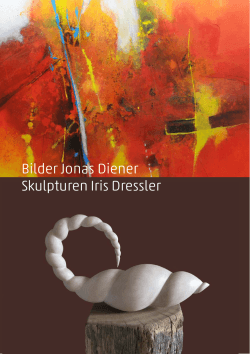 Bilder Jonas Diener Skulpturen Iris Dressler