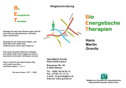 Bio Energetische Therapien Hans Martin Gravits