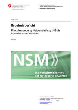 Ergebnisbericht Pilot NSM - Bundesamt für Strassen (ASTRA)