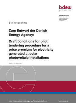 Zum Entwurf der Danish Energy Agency: Draft conditions for pilot