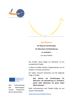 Die Theorie U
