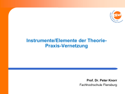 Instrumente/Elemente der Theorie-Praxis-Vernetzung