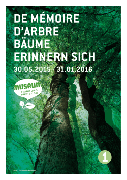 de mémoire d`arbre bäume erinnern sich 30.05.2015