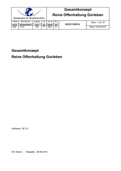Gesamtkonzept - Reine Offenhaltung Gorleben