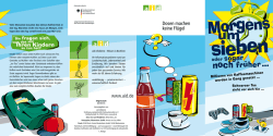 Dosen machen keine Fl&uuml;gel - Flyer