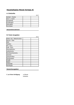 Haushaltsplan Monat Vorlage JC