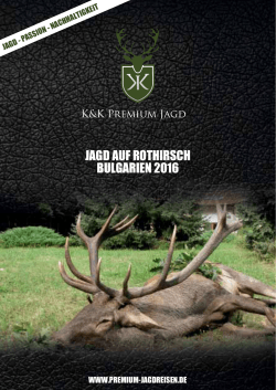 Rothirsch Bulgarien - Jagdreisen - K&K