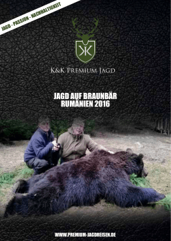 Braunbär Rumänien - Jagdreisen - K&K