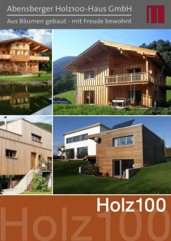 Die Aufgabe - Abensberger Holz100-Haus