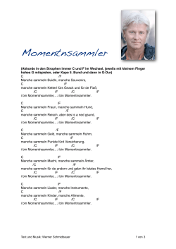 Momentnsammler - Werner Schmidbauer