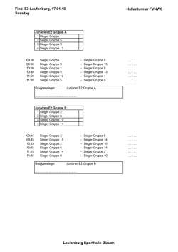 Final E2 Laufenburg, 17.01.16 Sonntag Hallenturnier FVNWS