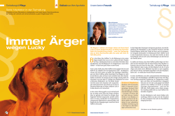 Diesen Artikel als PDF-Dokument herunterladen