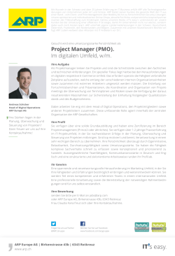 Project Manager (PMO).