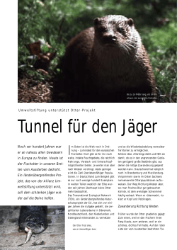 Tunnel für den Jäger